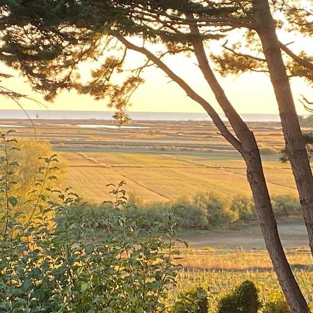 Villa Vieilles Vignes Vue Mer Billiers 외부 사진