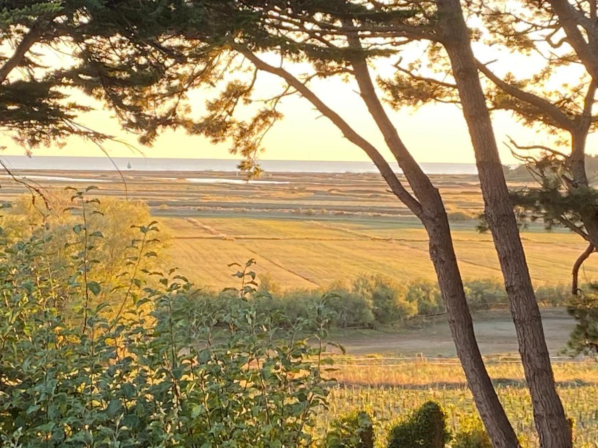 Villa Vieilles Vignes Vue Mer Billiers 외부 사진