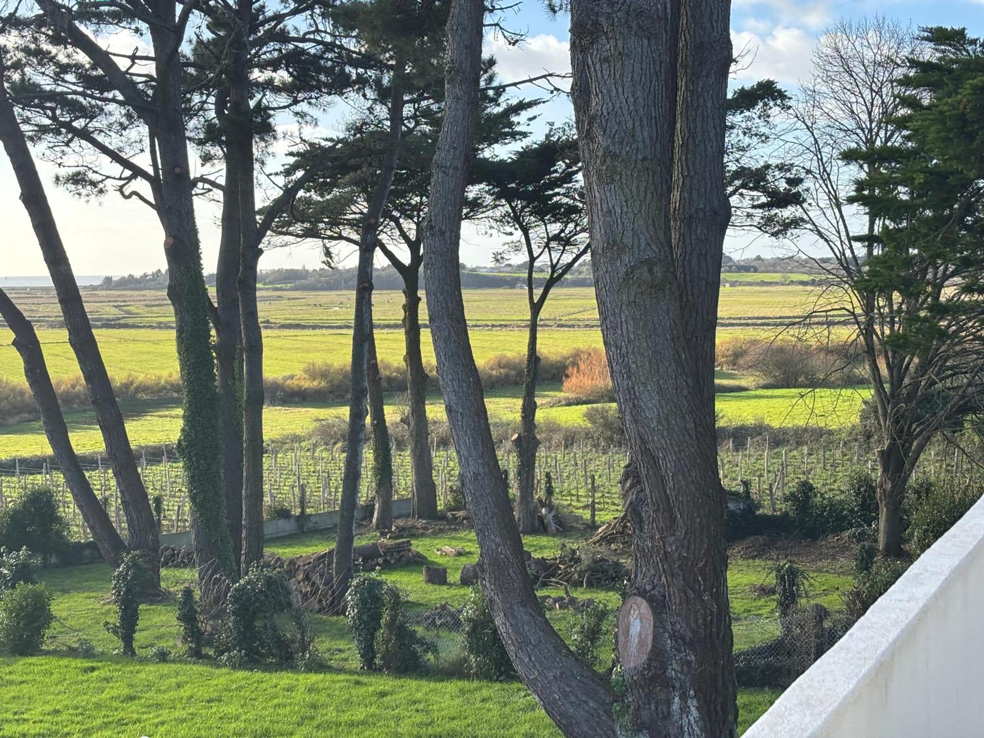 Villa Vieilles Vignes Vue Mer Billiers 외부 사진
