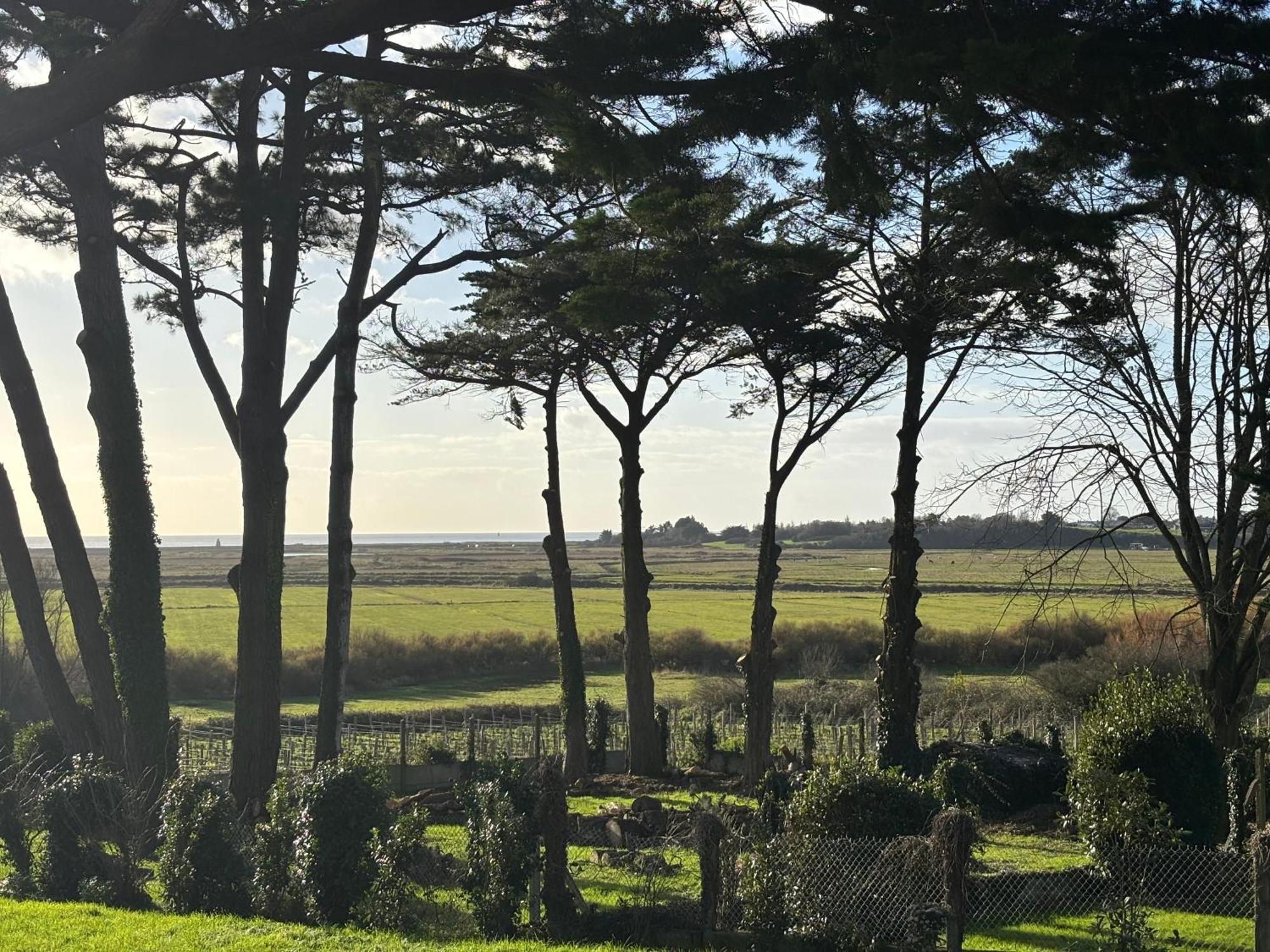 Villa Vieilles Vignes Vue Mer Billiers 외부 사진